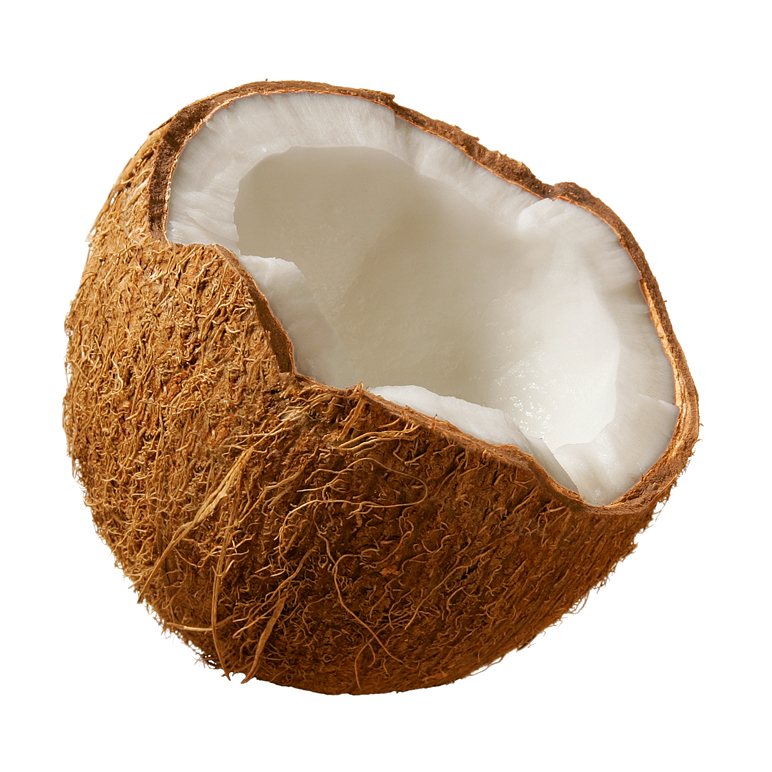 COCO - foto 4
