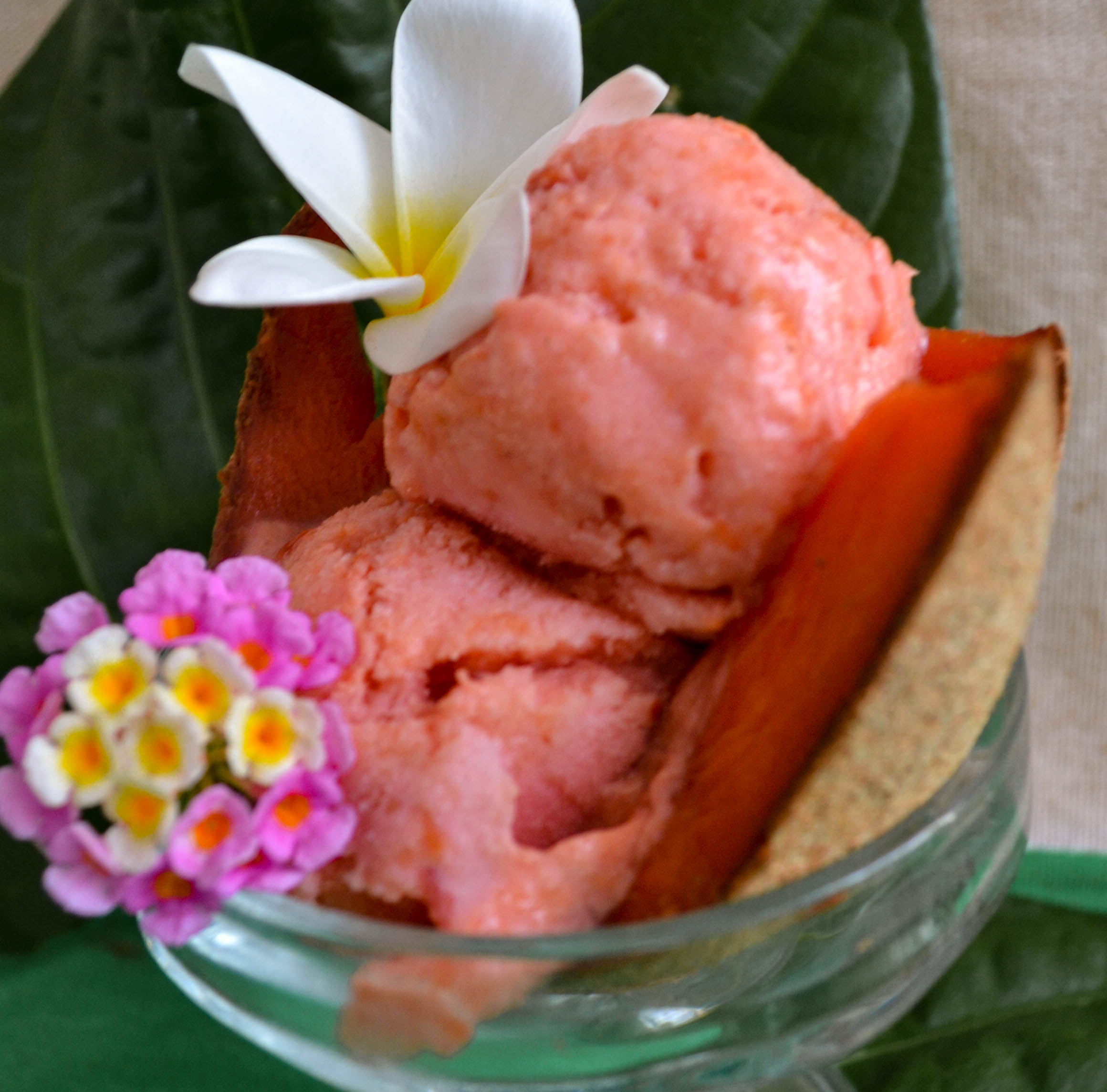 MAMEY - foto 2