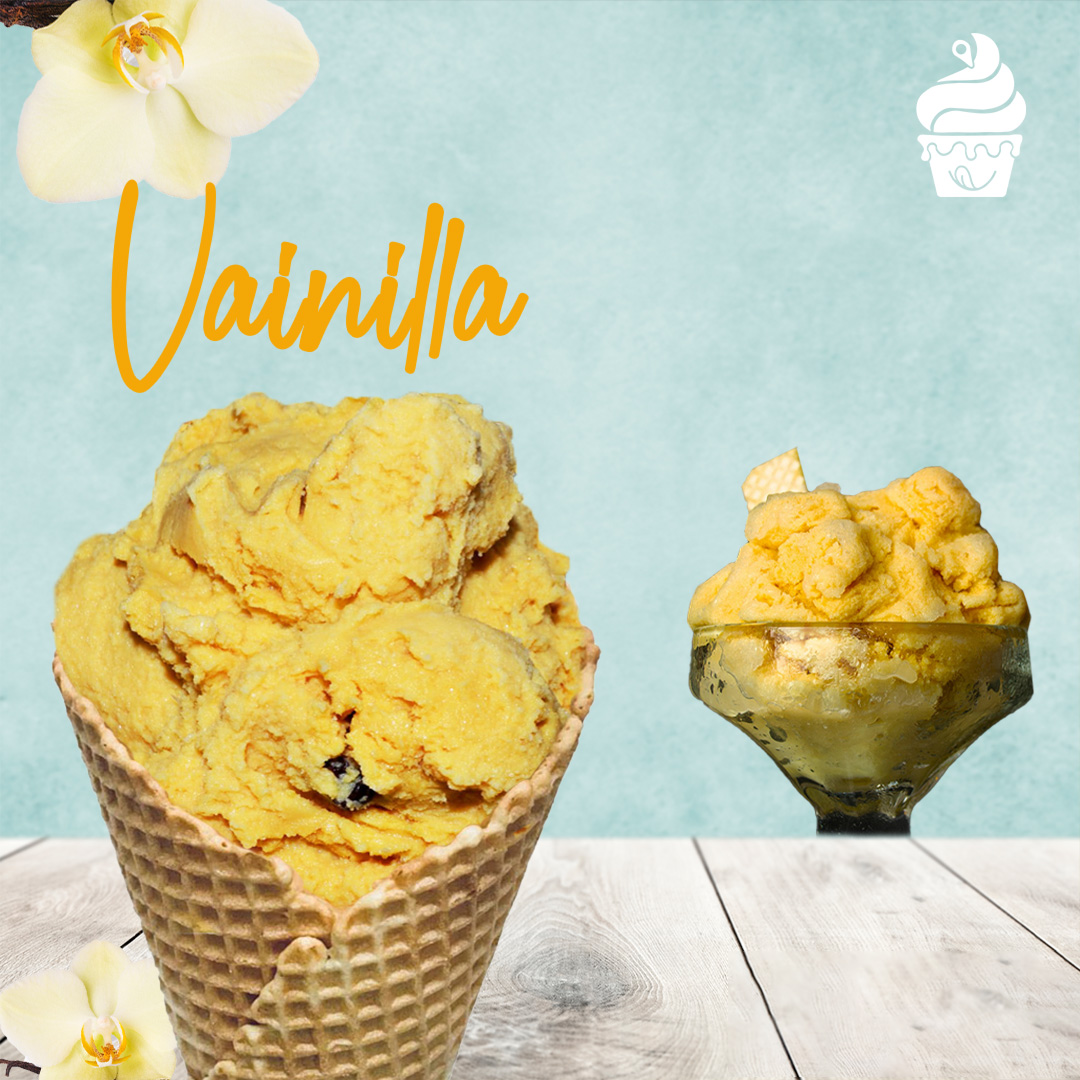VAINILLA - foto 5